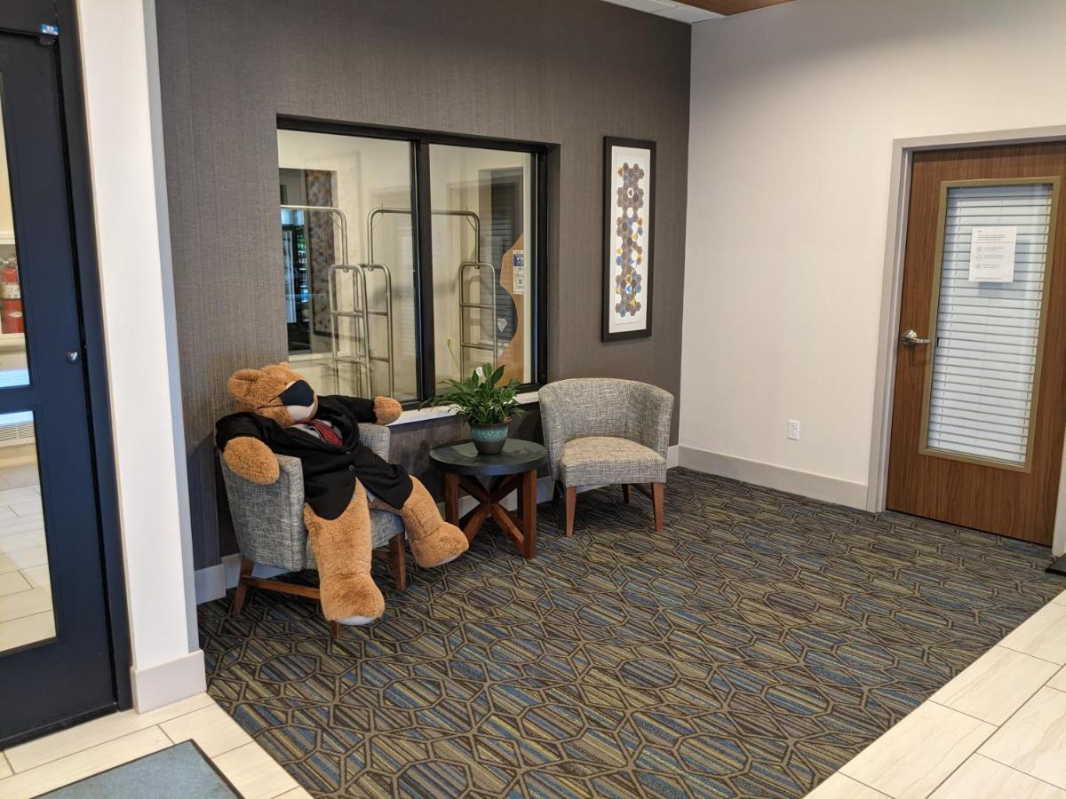 Holiday Inn Express South Burlington By Ihg Esterno foto